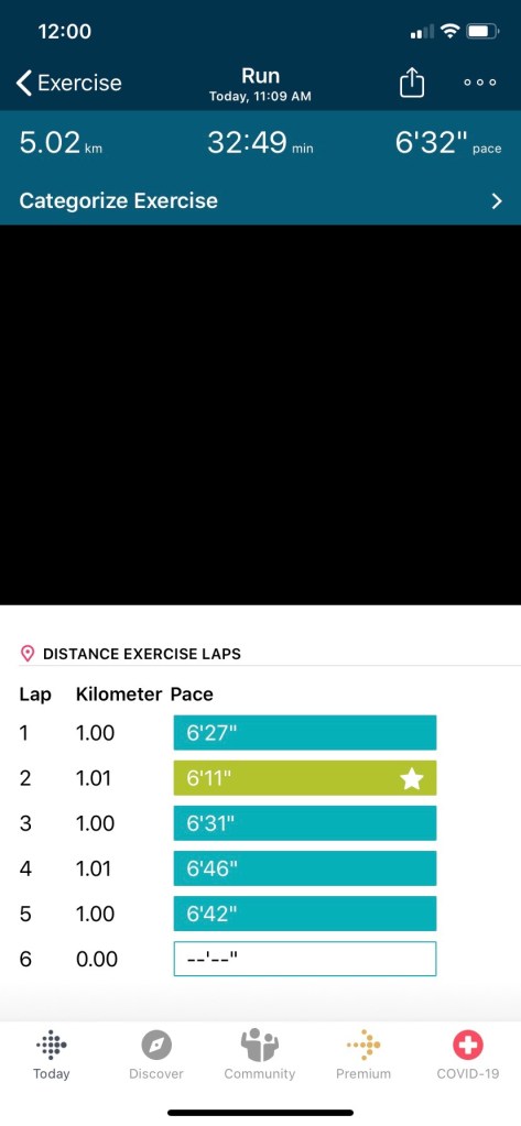 fitbit run log