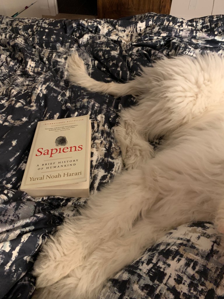 Sapiens book