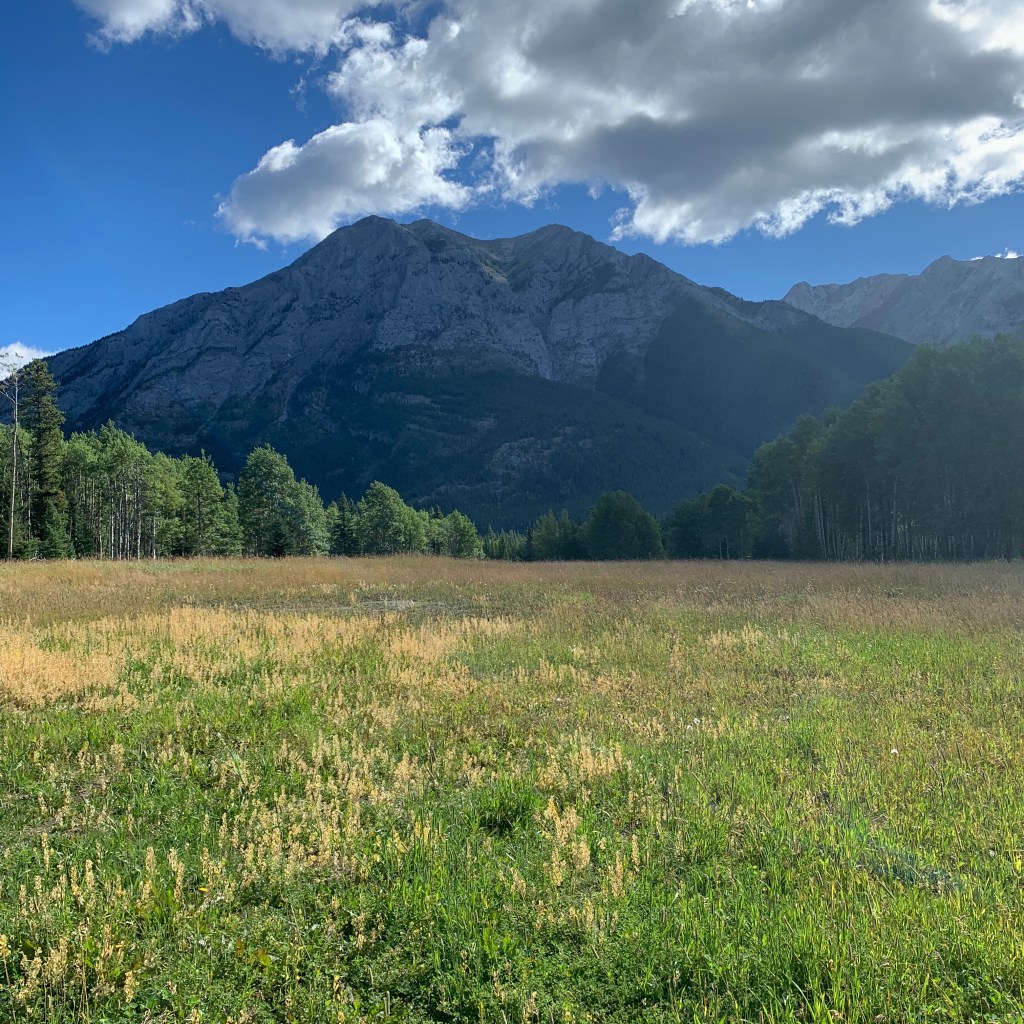 field and mountains