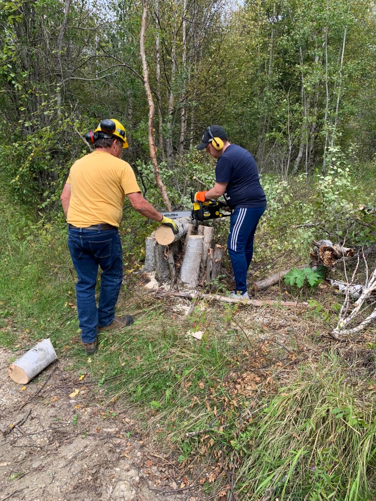 cutting trees