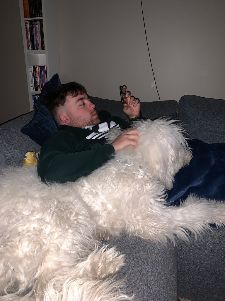 dog and man